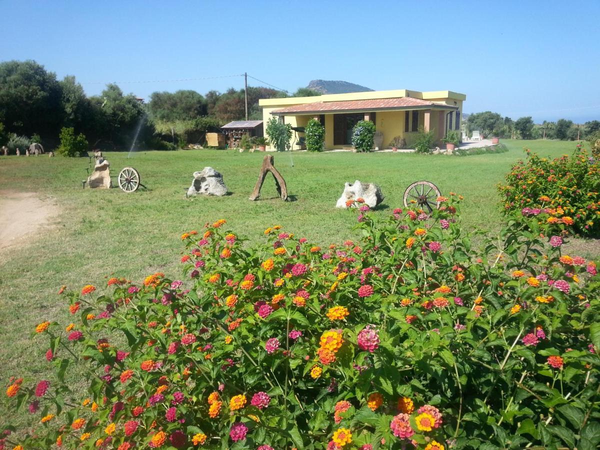Villa Paola Valledoria  Zewnętrze zdjęcie
